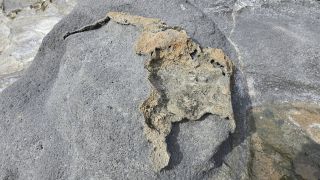 2024-11-GranCan-Playa_de_El_Puertillo-030.jpg